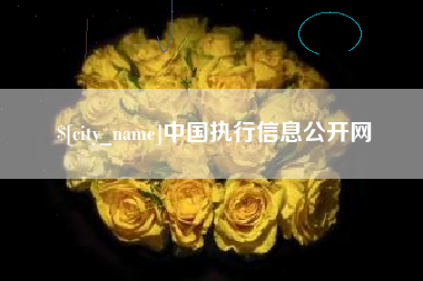 周口中国执行信息公开网