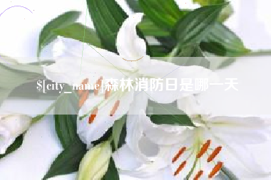 周口森林消防日是哪一天