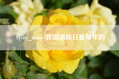 周口我国消防日是每年的