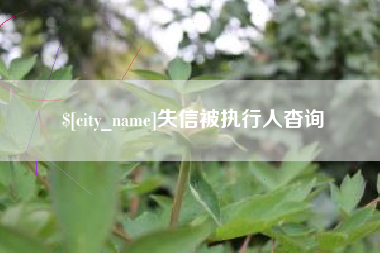 周口失信被执行人杳询