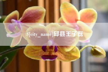 周口邱县王子磊