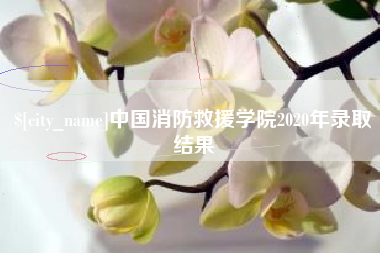 周口中国消防救援学院2020年录取结果