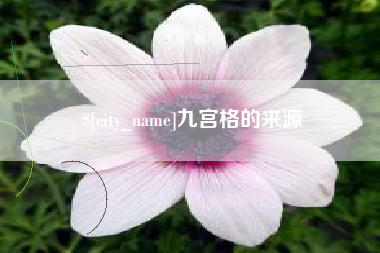 周口九宫格的来源
