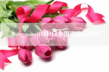 周口11月9日全国消防日图片