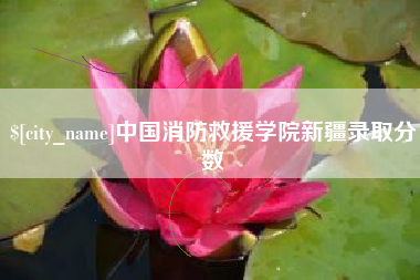 周口中国消防救援学院新疆录取分数