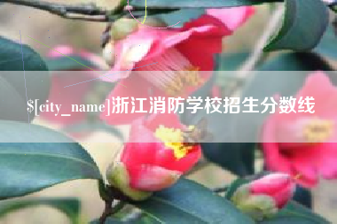 周口浙江消防学校招生分数线