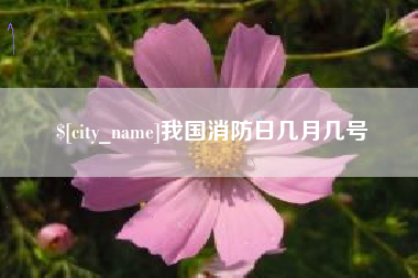 周口我国消防日几月几号