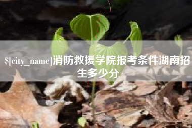 周口消防救援学院报考条件湖南招生多少分