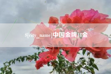周口中国金牌18金