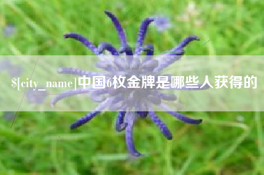周口中国6枚金牌是哪些人获得的
