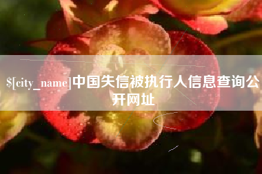 周口中国失信被执行人信息查询公开网址