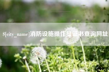 周口消防设施操作员证书查询网址