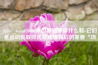 周口5000米世界冠军穿什么鞋-它们是运动员取得优异成绩背后的重要“功臣”