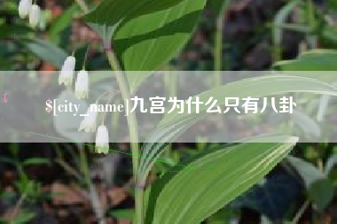 周口九宫为什么只有八卦