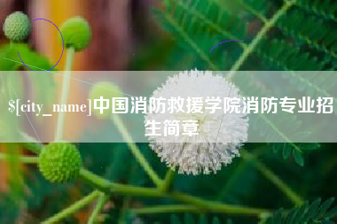 周口中国消防救援学院消防专业招生简章