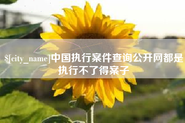 周口中国执行案件查询公开网都是执行不了得案子