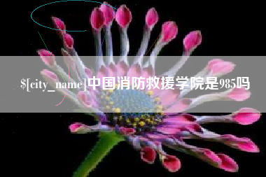 周口中国消防救援学院是985吗