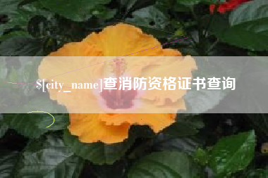 周口查消防资格证书查询