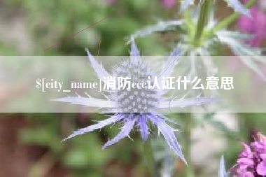 周口消防ccc认证什么意思