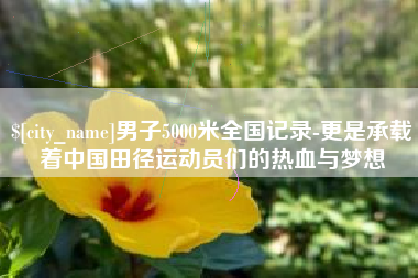 周口男子5000米全国记录-更是承载着中国田径运动员们的热血与梦想