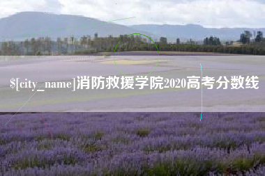 周口消防救援学院2020高考分数线