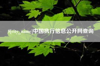 周口中国执行信息公开网查询