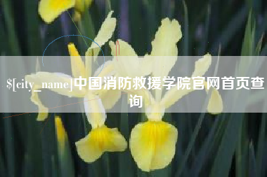 周口中国消防救援学院官网首页查询