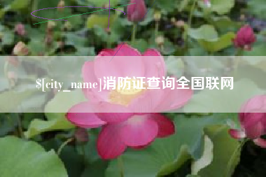周口消防证查询全国联网