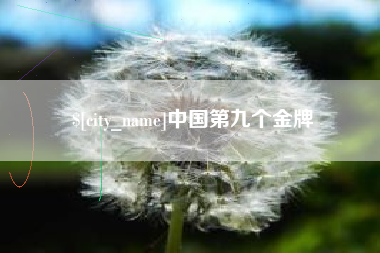 周口中国第九个金牌
