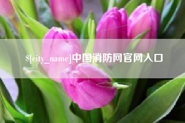 周口中国消防网官网入口
