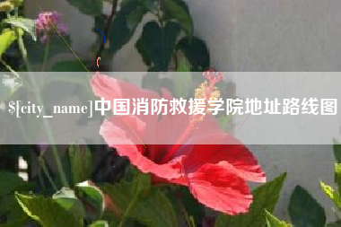 周口中国消防救援学院地址路线图