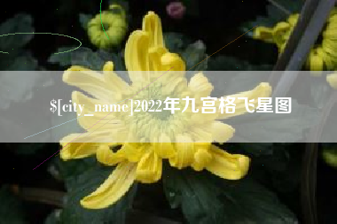 周口2022年九宫格飞星图