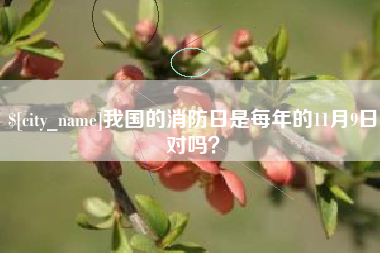 周口我国的消防日是每年的11月9日对吗？