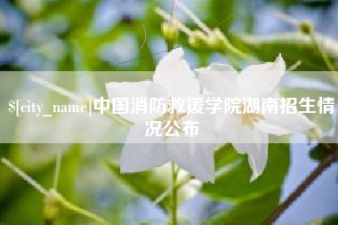 周口中国消防救援学院湖南招生情况公布