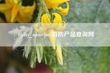 周口ccc消防产品查询网