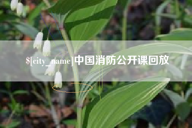周口中国消防公开课回放
