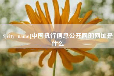周口中国执行信息公开网的网址是什么