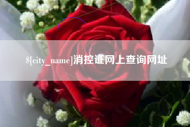 周口消控证网上查询网址