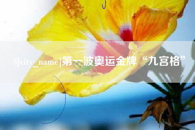 周口第一波奥运金牌“九宫格”