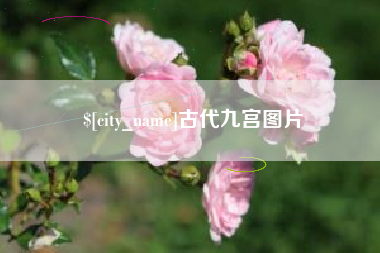 周口古代九宫图片