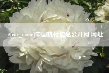 周口中国执行信息公开网 网址