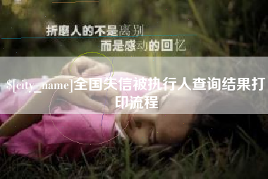 周口全国失信被执行人查询结果打印流程