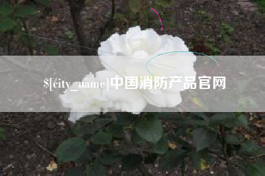 周口中国消防产品官网