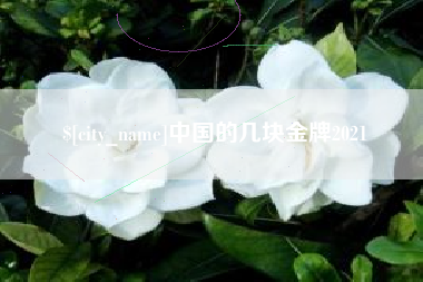 周口中国的几块金牌2021