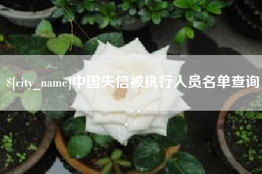 周口中国失信被执行人员名单查询