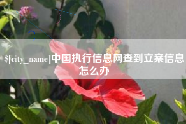 周口中国执行信息网查到立案信息怎么办