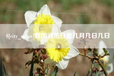 周口我国消防日是几月几日几日