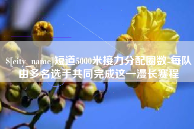 周口短道5000米接力分配圈数-每队由多名选手共同完成这一漫长赛程