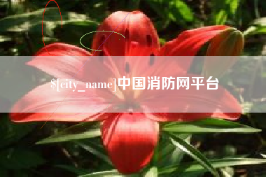 周口中国消防网平台