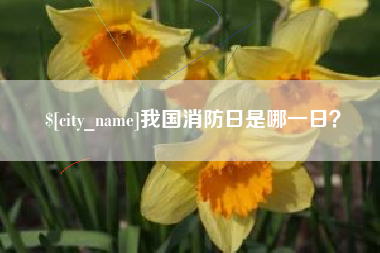 周口我国消防日是哪一日？